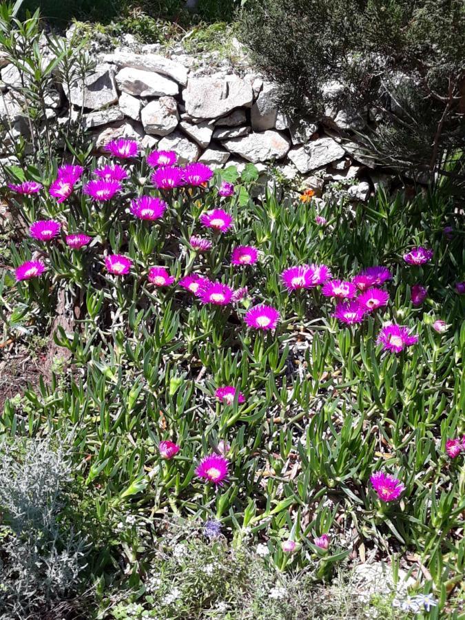 Apartment Nada Veli Losinj Bagian luar foto